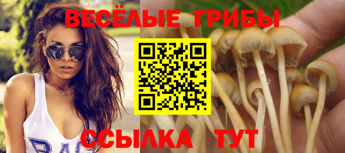 Иваново  Галлюциногенные грибы Magic Shrooms  наркота  Вход с VPN 